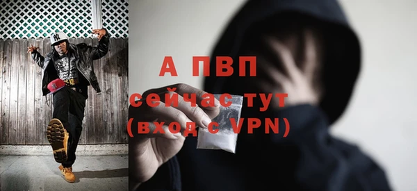 амф Гусь-Хрустальный