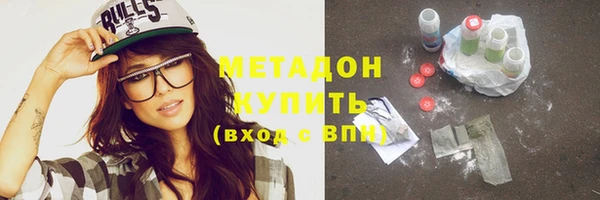 амф Гусь-Хрустальный