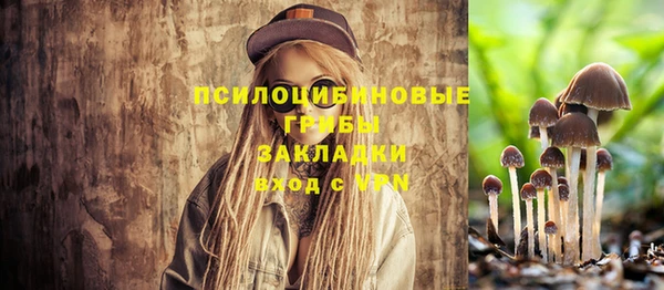 амф Гусь-Хрустальный