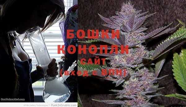 кокс Гусев
