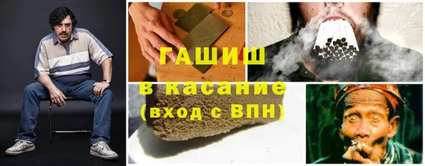 амф Гусь-Хрустальный